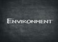Blackboard concept for the word Environment Royalty Free Stock Photo