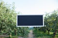Blackboard with white frame hanging on tree branch in garden, copy space. Plate for text on rope. Blank black desk billboard. Natu Royalty Free Stock Photo