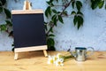 Blackboard on wooden table with daisies and miniature watering can Royalty Free Stock Photo