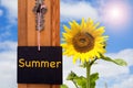 Blackboard with word Summer hanging on key in front of sunflower