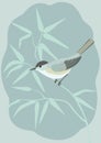 Blackcap bird on a branch Royalty Free Stock Photo