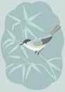 Blackcap bird on a branch