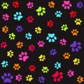 Seamless pattern with colorful animal foot prints, paws Royalty Free Stock Photo