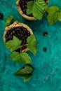 Blackcurrant berries with leaves, black currant in green bowls