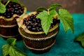 Blackcurrant berries with leaves, black currant in green bowls