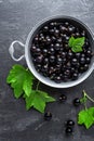 Blackcurrant berries with leaves, black currant