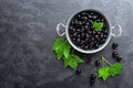 Blackcurrant berries with leaves, black currant Royalty Free Stock Photo