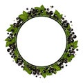 Blackcurrant berries with leaves in a circle.