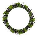 Blackcurrant berries with leaves in a circle. Wreath