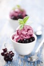 Blackcurrant dessert