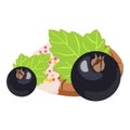 Blackcurrant dessert icon isometric vector. Fresh black currant and fruit cookie