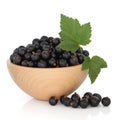 Blackcurrant Fruit