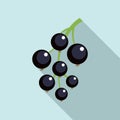 Blackcurrant icon, flat style