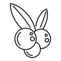 Blackcurrant icon, outline style