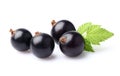 Blackcurrant with leaf Royalty Free Stock Photo