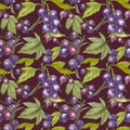 Blackcurrant with leaf isolated on white background. Hand-drawn watercolor illustration. Seamless pattern.