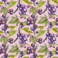 Blackcurrant with leaf isolated on white background. Hand-drawn watercolor illustration. Seamless pattern.