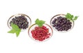 Blackcurrant, redcurrant and jostaberry on saucers on a light ba