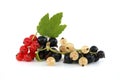 Blackcurrant, redcurrant and white currant on white