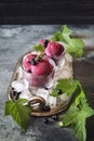 Blackcurrant sorbet balls and berries Royalty Free Stock Photo