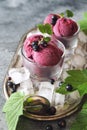 Blackcurrant sorbet balls and berries Royalty Free Stock Photo