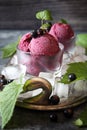 Blackcurrant sorbet balls and berries Royalty Free Stock Photo