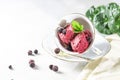 Blackcurrant sorbet. Berry ice cream iwith mint and blackcurrant. Royalty Free Stock Photo