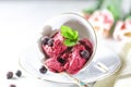 Blackcurrant sorbet. Berry ice cream iwith mint and blackcurrant. Royalty Free Stock Photo