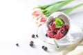 Blackcurrant sorbet. Berry ice cream iwith mint and blackcurrant. Royalty Free Stock Photo