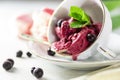 Blackcurrant sorbet. Berry ice cream iwith mint and blackcurrant. Royalty Free Stock Photo