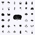 blackcurrant tree icon. Plants icons universal set for web and mobile