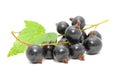 Blackcurrants with Green Leaf Royalty Free Stock Photo