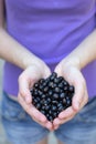 Blackcurrants Royalty Free Stock Photo