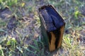 Blackened pages of an old burnt book. Selective focus