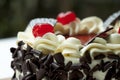 Blackforest, chocolate cake Royalty Free Stock Photo