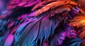 blackhaired feathers wallpaper Royalty Free Stock Photo