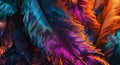blackhaired feathers wallpaper Royalty Free Stock Photo