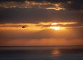A Blackhawk helicopter banking left away from the sun at sunset Royalty Free Stock Photo