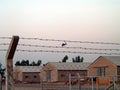 Blackhawk helicopters in flight in Iraq Royalty Free Stock Photo