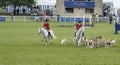 Blackmore & Sparkford Vale Foxhounds at Royal Bath and West show 2014 Royalty Free Stock Photo