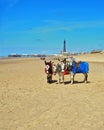 Blackpool Beach Royalty Free Stock Photo