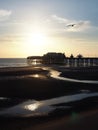 Blackpool north pier a sunset with bright evening sunlight reflected in the water and a seagull flying in blue sky Royalty Free Stock Photo