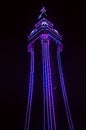 Blackpool Tower at night Royalty Free Stock Photo