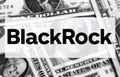 BlackRock investment company logo