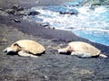 Blacksand Beach Hawaii Royalty Free Stock Photo