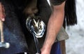 BLACKSMITH WITH A PERCHERON HORSE, TRIMMING HOOF WITH CUTTING KNIFE, NORMANDY IN FRANCE Royalty Free Stock Photo