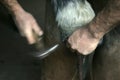 Blacksmith and Percheron, Riveting Horseshoe