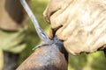 blacksmith, smith, farrier, hammersmith, forger, smithy Royalty Free Stock Photo