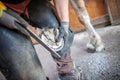 Blacksmith works on a horse hoof