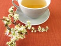 Blackthorn flowers tea Royalty Free Stock Photo